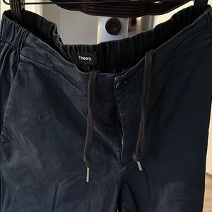 Theory draw string casual pant